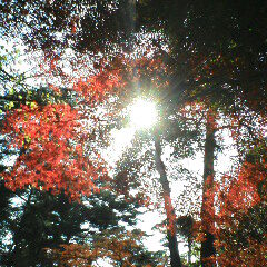 社員旅行で新入社員に激キレしそうになったけど！そもそも社員旅行が無ければよかったのかな…