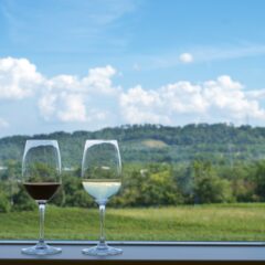 ウクライナへの寄付で税額控除が受けられるみたいなのでやってみた