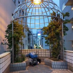 上野駅東口のペデストリアンデッキにある排除植林