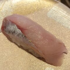 すし松で白身魚「コチ」「オニカサゴ」「メジナ」「ホウボウ」等を食べ比べして味の違いを把握する