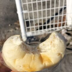 紀伊新庄駅からすぐ！「森のパン・木の実」でもち麦パンを購入